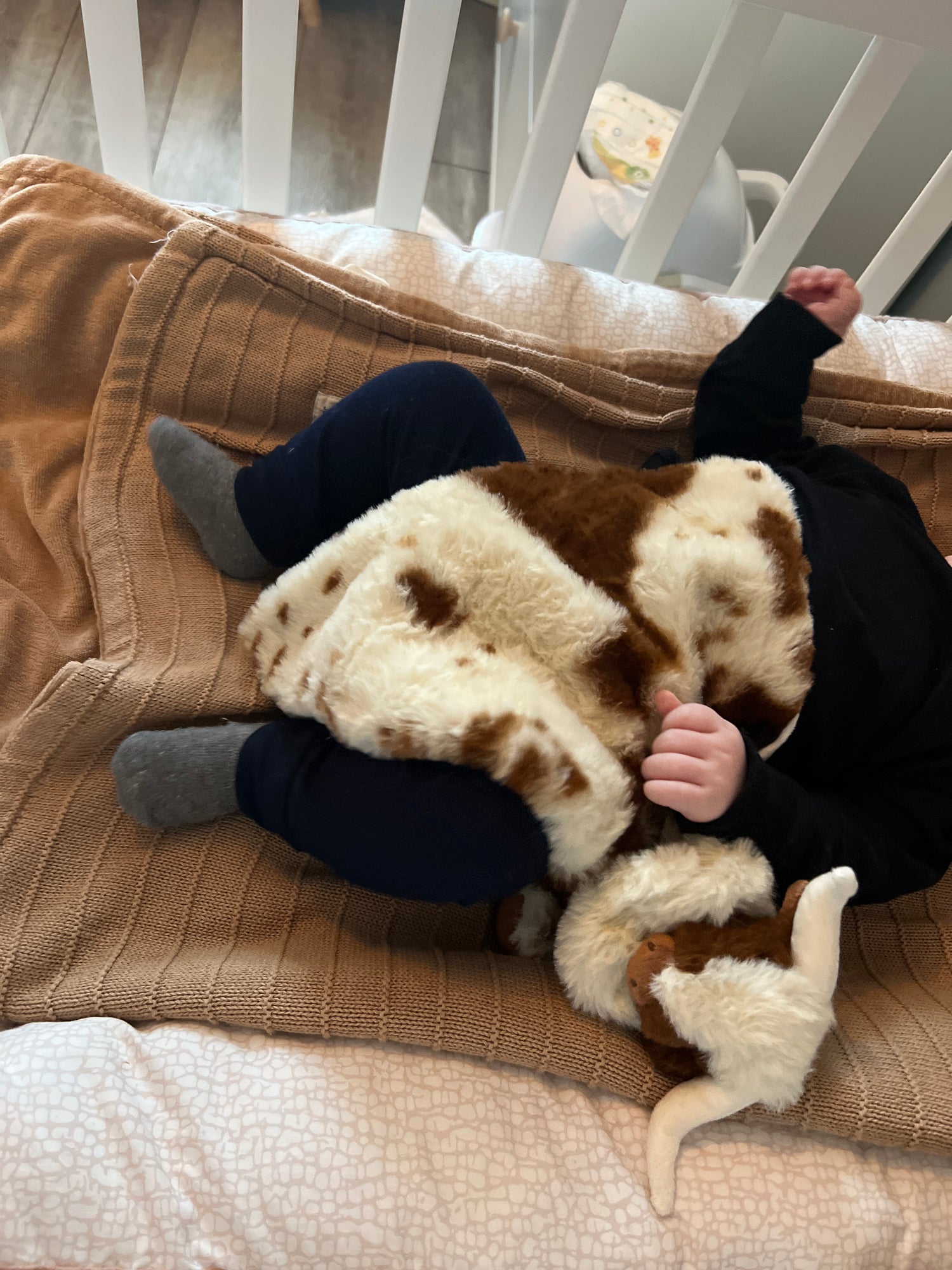 Highland Cow | Dutch Highland Cattle | Cuddle Cloth | Little Dfly