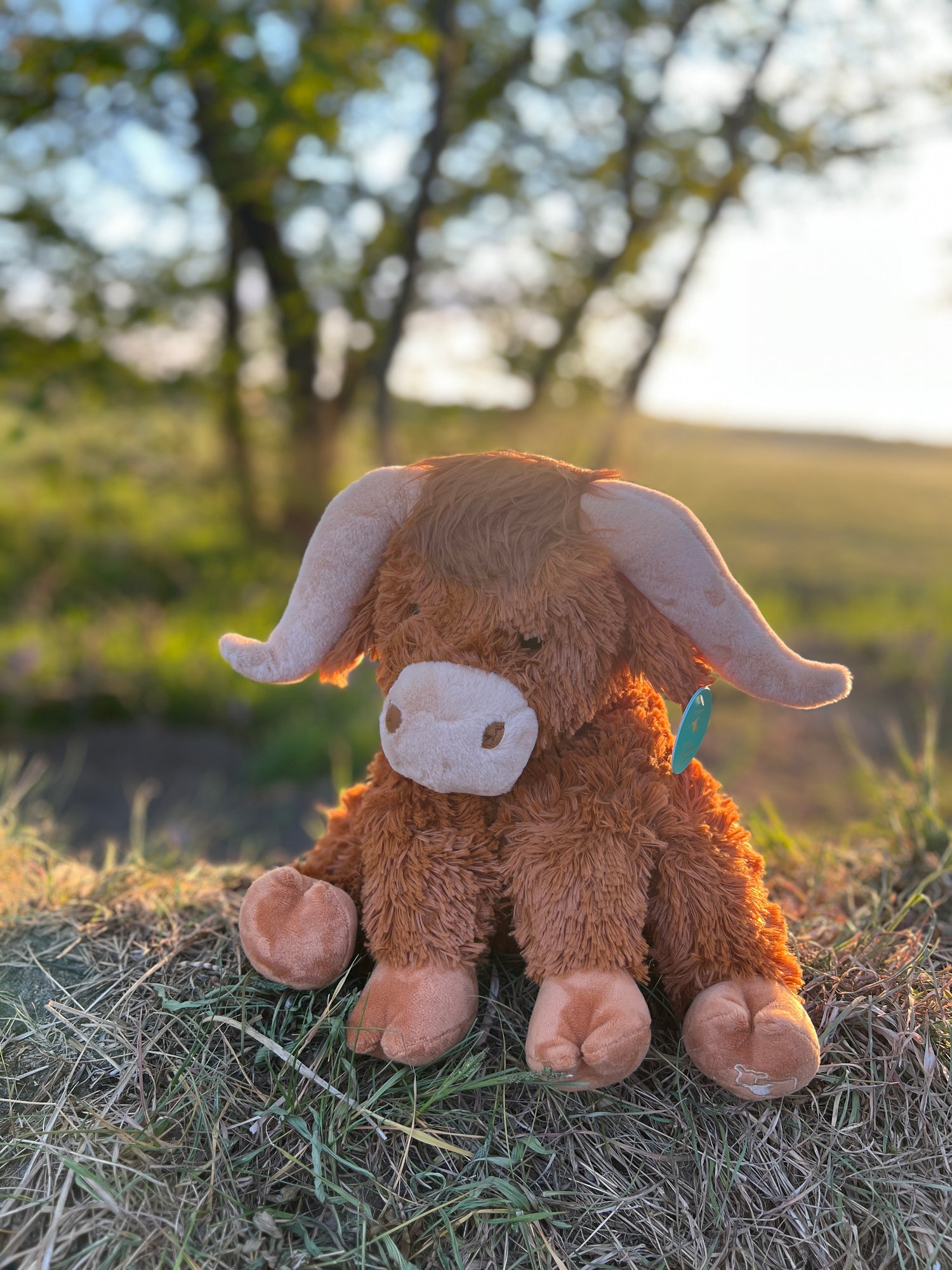 Highland Cow Plush Large (30cm) | Brown | Scottish Highlander