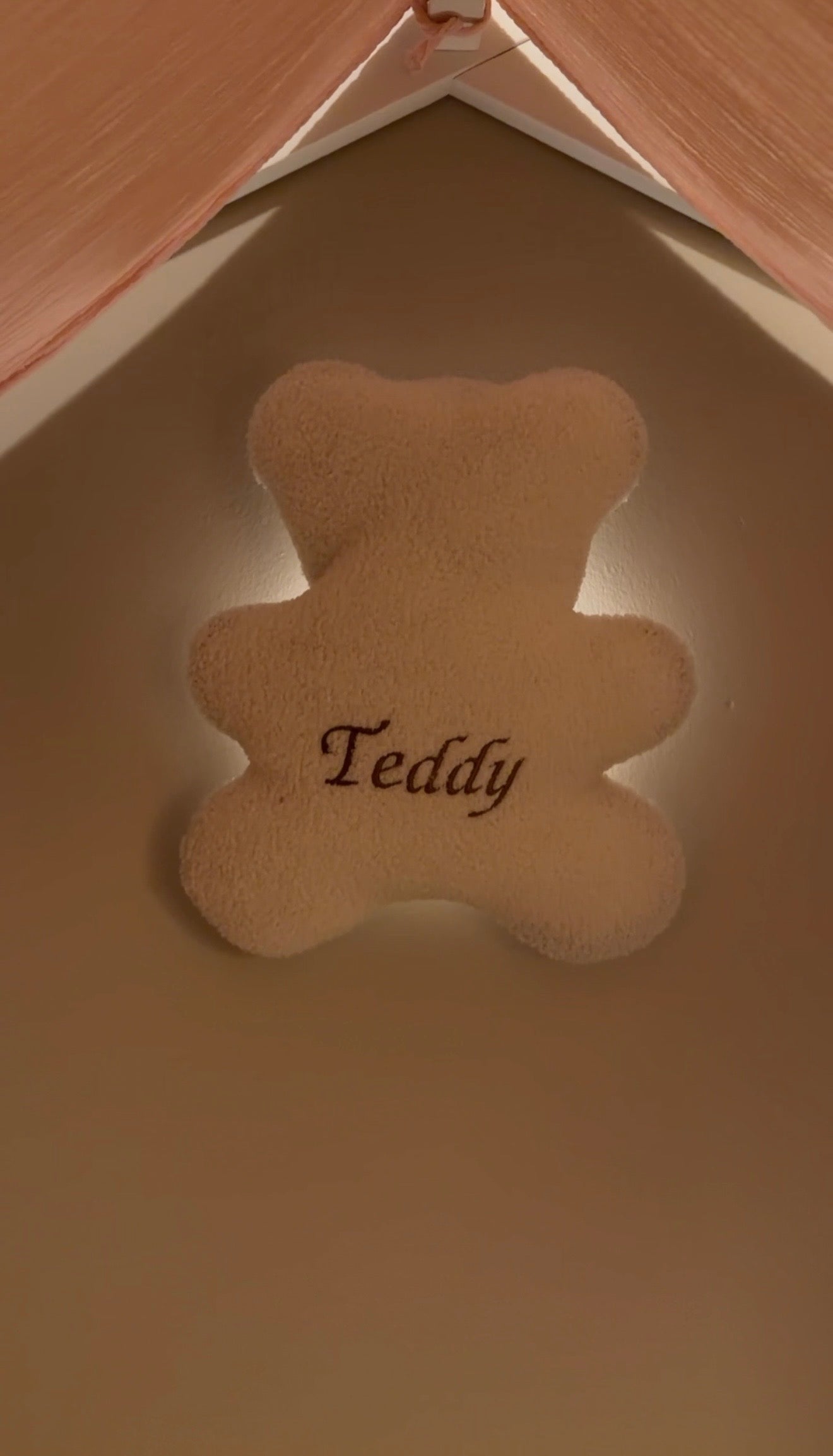 Teddy Bear Night Light | White/Ecru
